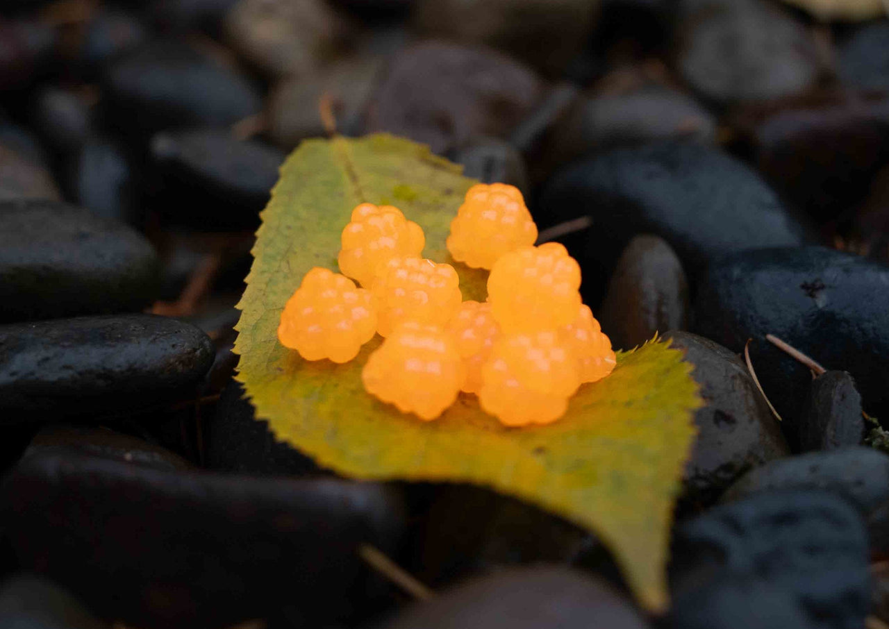 VIP Outdoors Soft Cluster "Orange Haze" 15mm - 10 Pack - STLHD GEAR 
