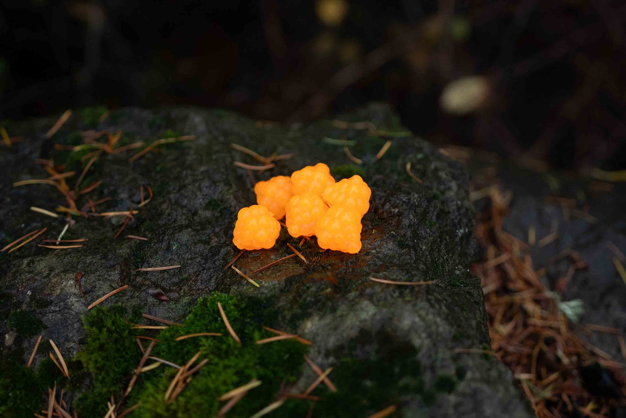 VIP Outdoors Soft Cluster "Nat Orange"  22mm - 6 Pack - STLHD GEAR 