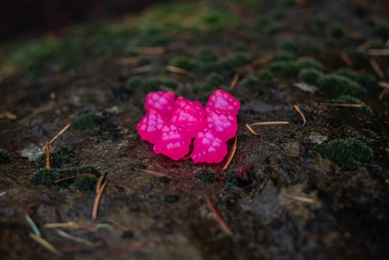 VIP Outdoors Soft Cluster "Clack Cerise" 18mm - 8 Pack - STLHD GEAR 