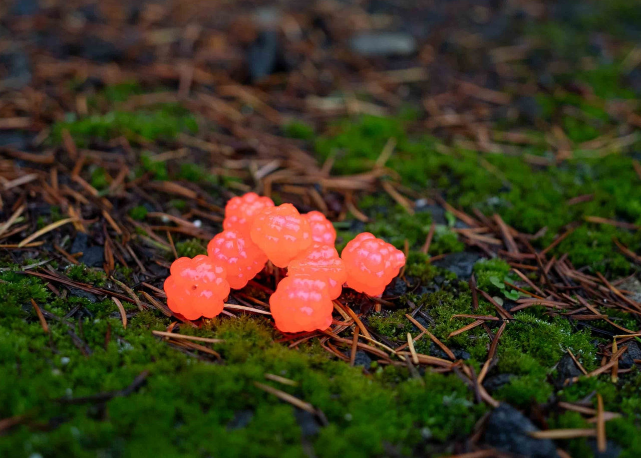 VIP Outdoors Soft Cluster "Salmon Haze"  22mm - 6 Pack - STLHD GEAR 