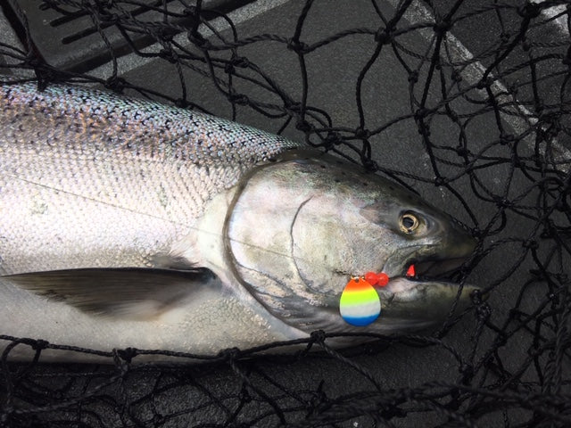 #4.5 Colorado "BTR" Spinner Blade (single blade) - STLHD GEAR 