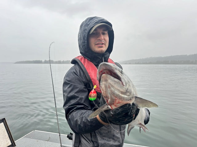 #3.5 Colorado "Gold Mex Flag" Spinner Blade (Single Blade) - STLHD GEAR 