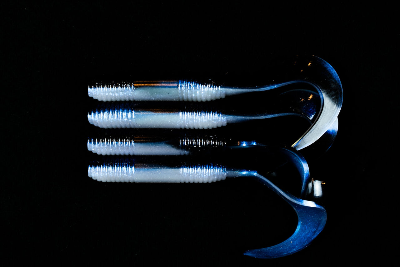 6" "Black Chovy" Curly Tail - (Single Bait) - STLHD GEAR 